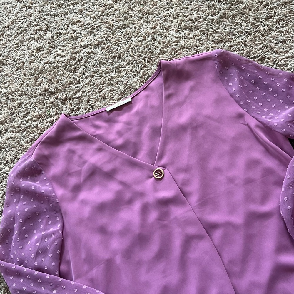 Bebonnie Purple V-Neck Blouse Swiss Dot Sheer Long Sleeve Pleated Top‎ Large